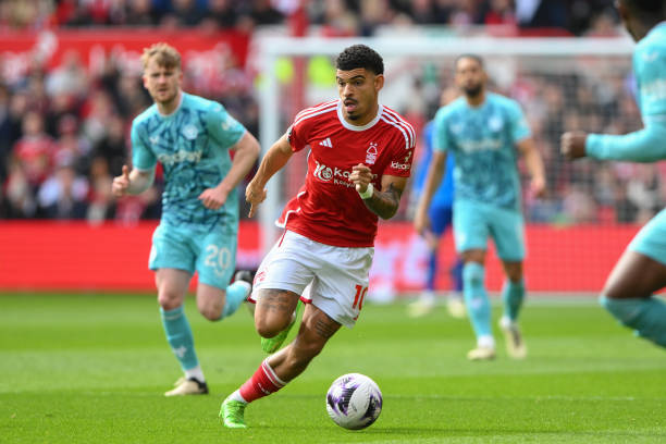 一个成功的 一个成功的