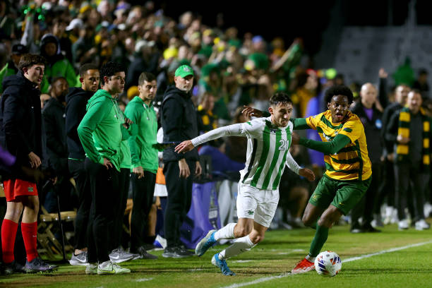 在向我们展 在向我们展